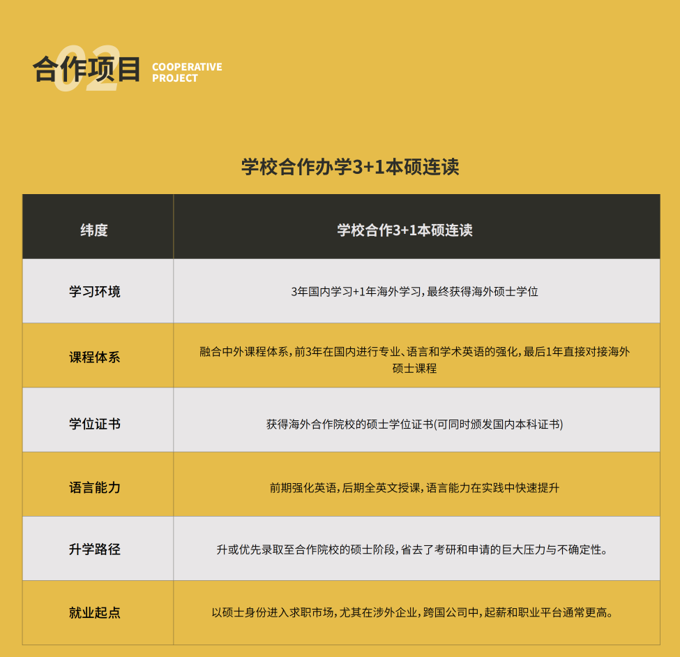 合作项目